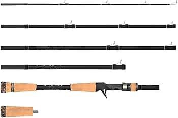 トランスセンデンス　レイトブルーミングス　TRANSCENDENCE Amazon.co.jp: TRANSCENDENCE トランスセンデンス LateBloomings